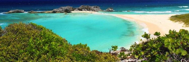 Jacqueline Bailey banner