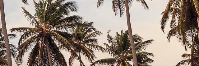 FatmaAlMulla's profile banner image