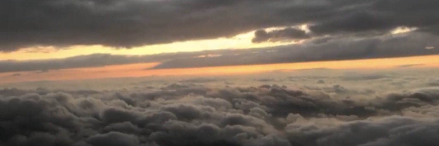 amorosoz's profile banner image
