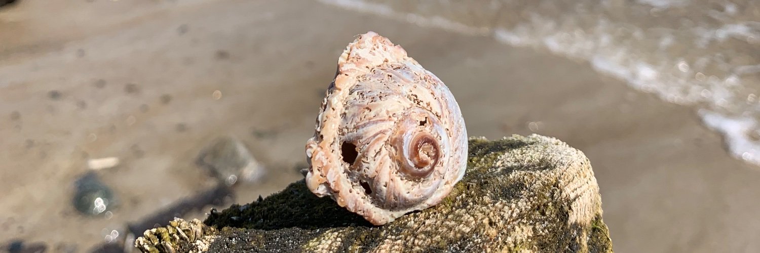 Kate Mosteller banner