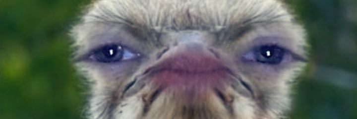 oh_em_rich's profile banner image