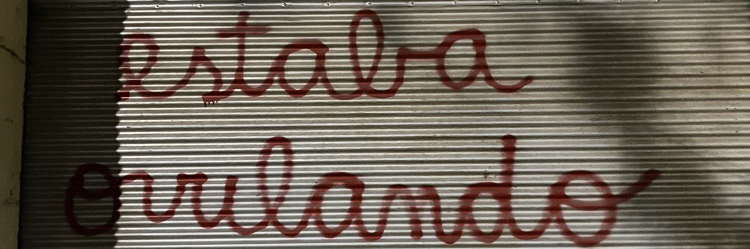 Lula banner