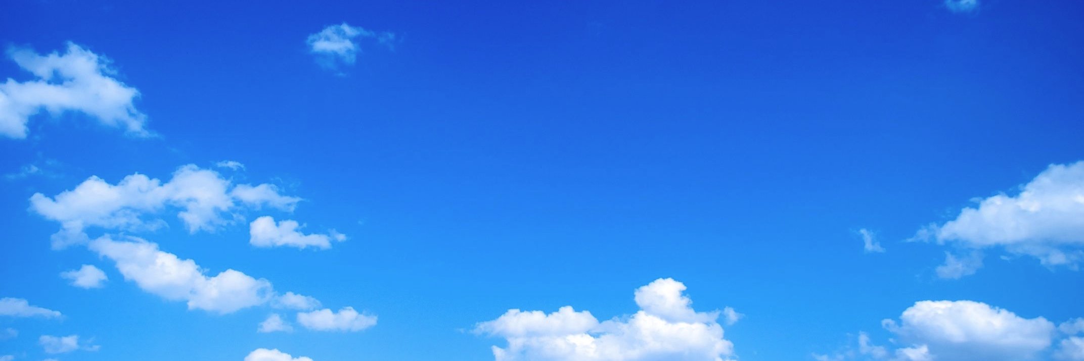 luci_almeida's profile banner image