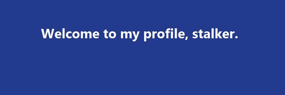 NissaSinta's profile banner image