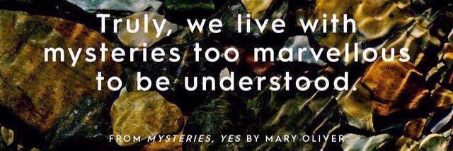 Gemma Balmer-Kemp banner