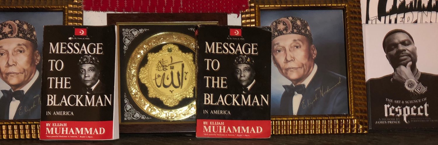 Brother N. I. P/Ganxsta Nip banner