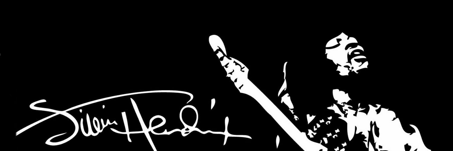 aliagators's profile banner image