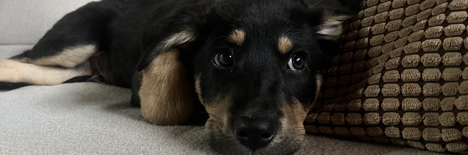 Emaabe_'s profile banner image