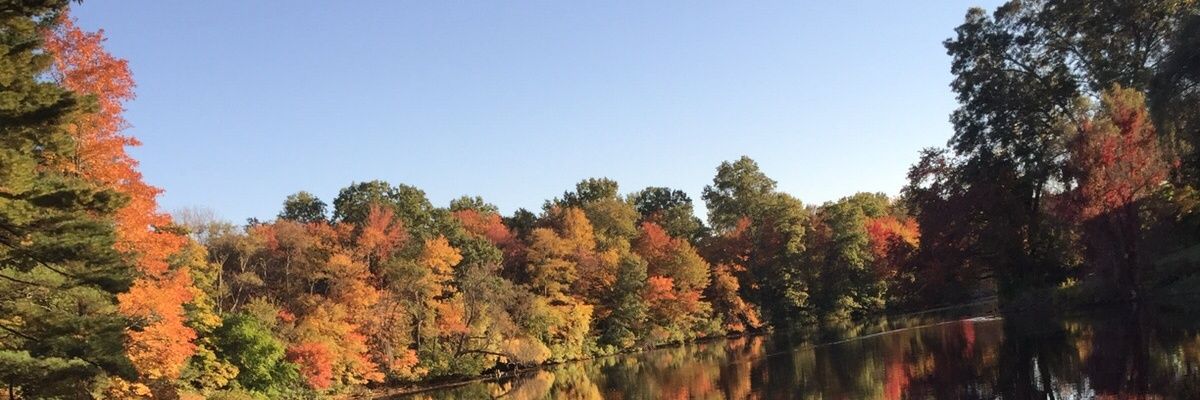 a2r2_1515's profile banner image