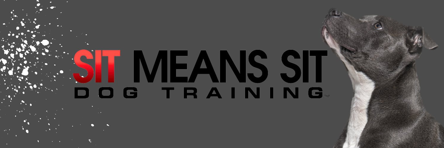 DogTraining_MI's profile banner image