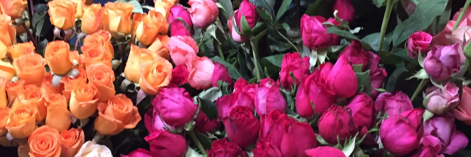 Angela Addington banner