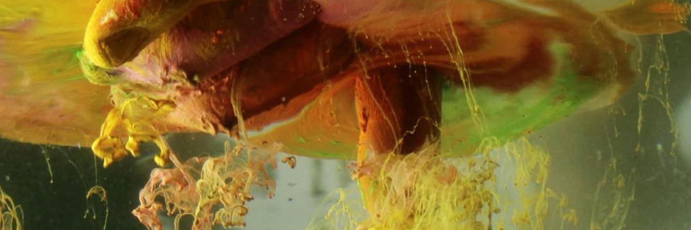 crdiazmunoz's profile banner image
