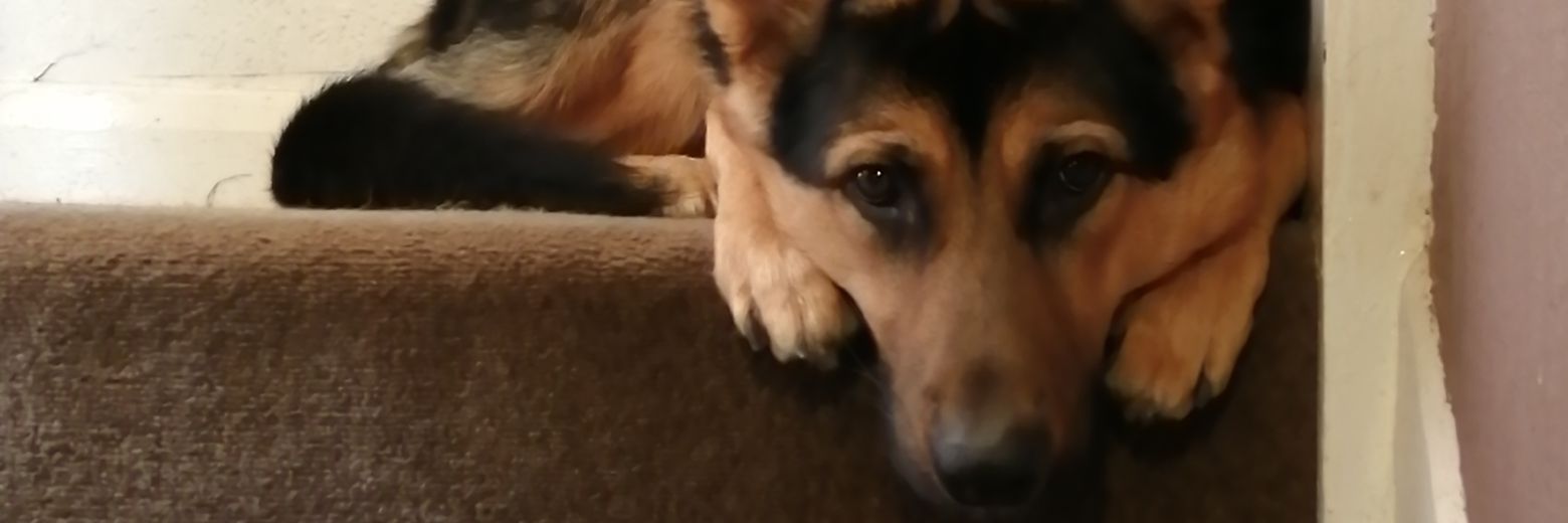 QueenPalmer1809's profile banner image