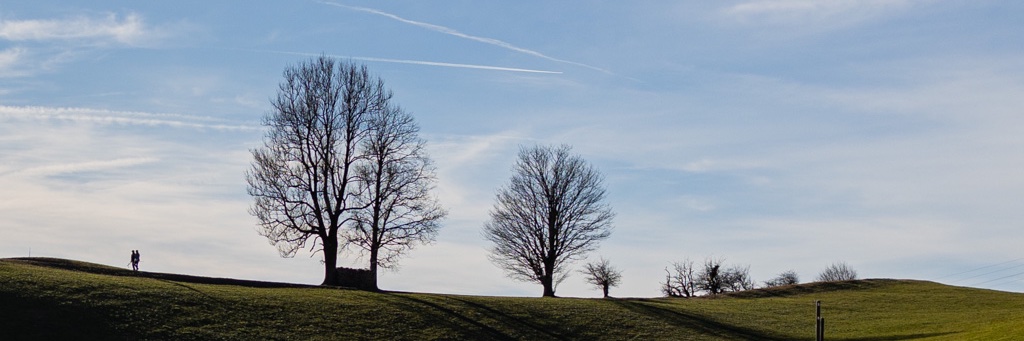 roscherrer's profile banner image