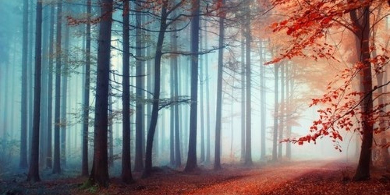 IlyaSJS's profile banner image