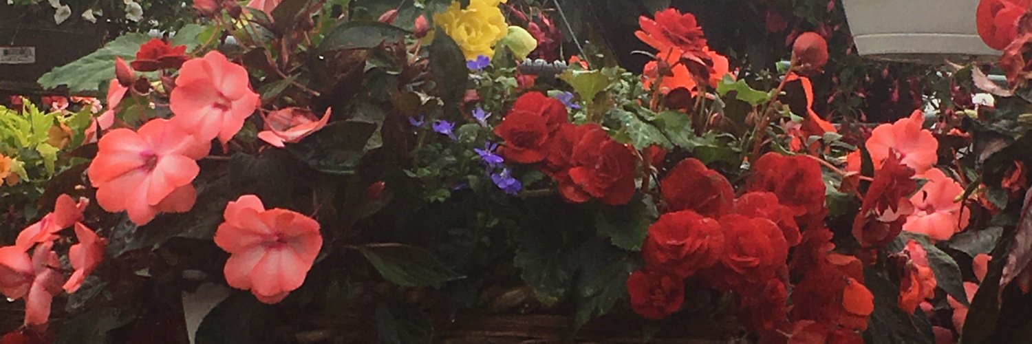 TammetteH's profile banner image