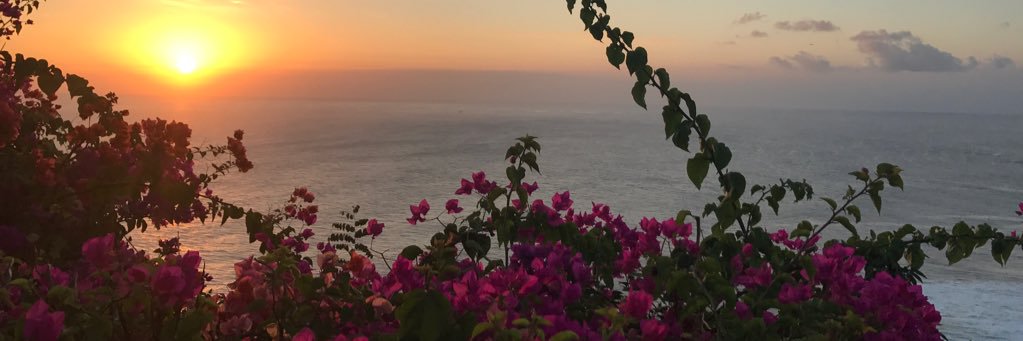 mic_drou's profile banner image