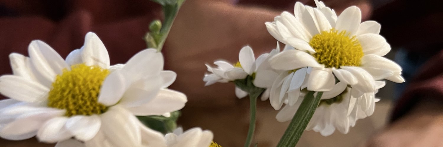 _MariaValdez's profile banner image
