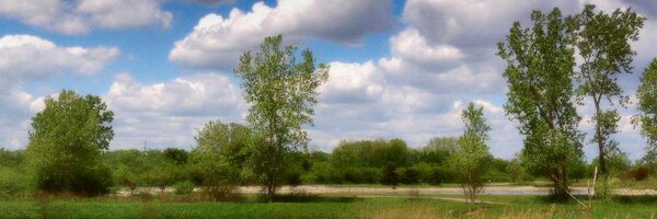 KafkaPie Profile Banner