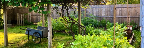 terrydenoyer Profile Banner