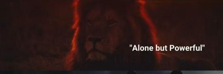 dr. Snoop Dogg banner