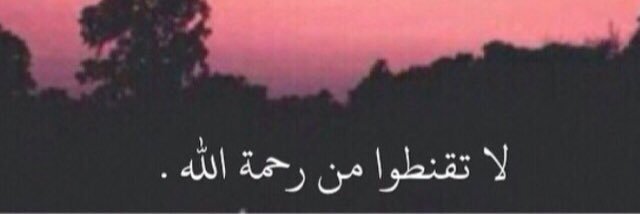 Alialmrkoz's profile banner image