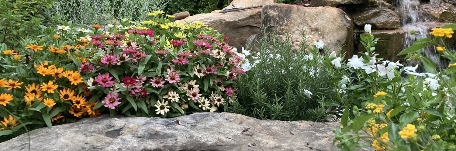 Jenwalker1234's profile banner image