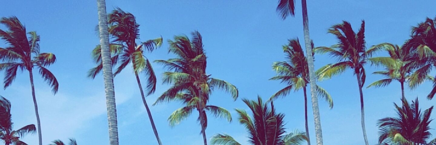 therealFefe94's profile banner image