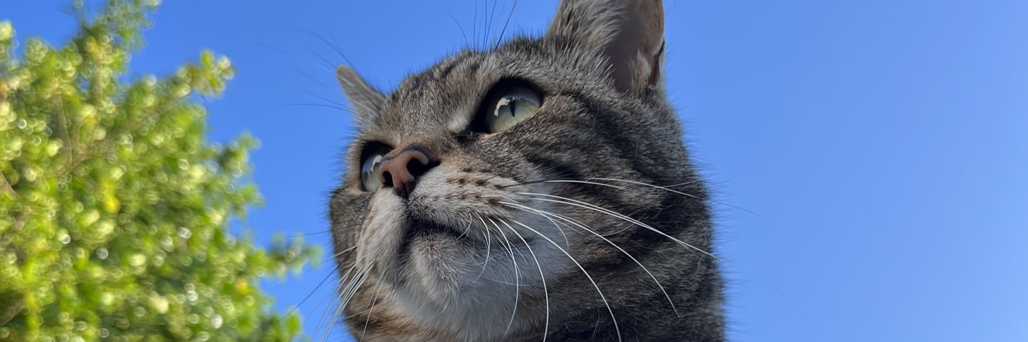 tarawatsonx's profile banner image