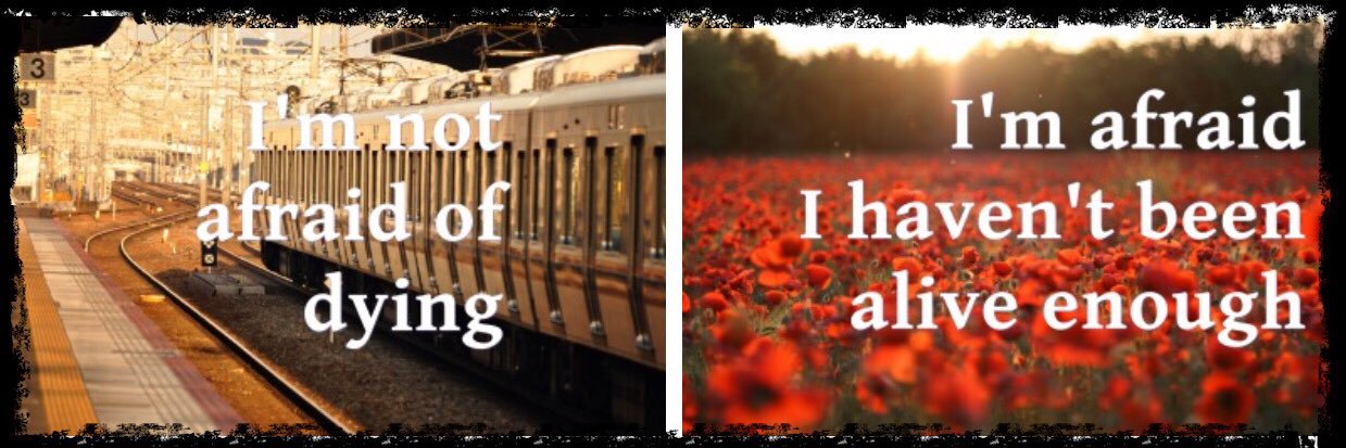 𓂆 𝕬𝖓𝖞𝖓𝖆𝖒𝖊 𝕯𝖔𝖓𝖔𝖙𝖈𝖆𝖗𝖊 🎈 banner