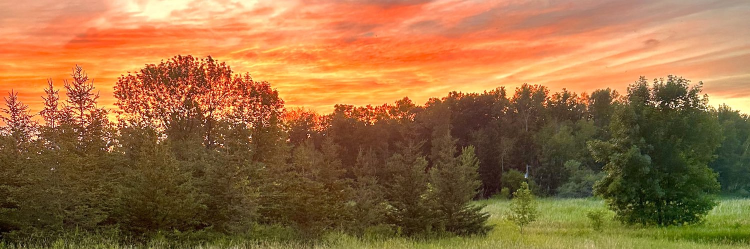 beaverwatch's profile banner image