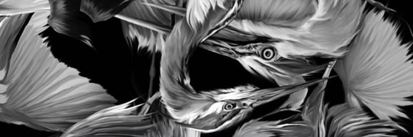 ddscorp14's profile banner image