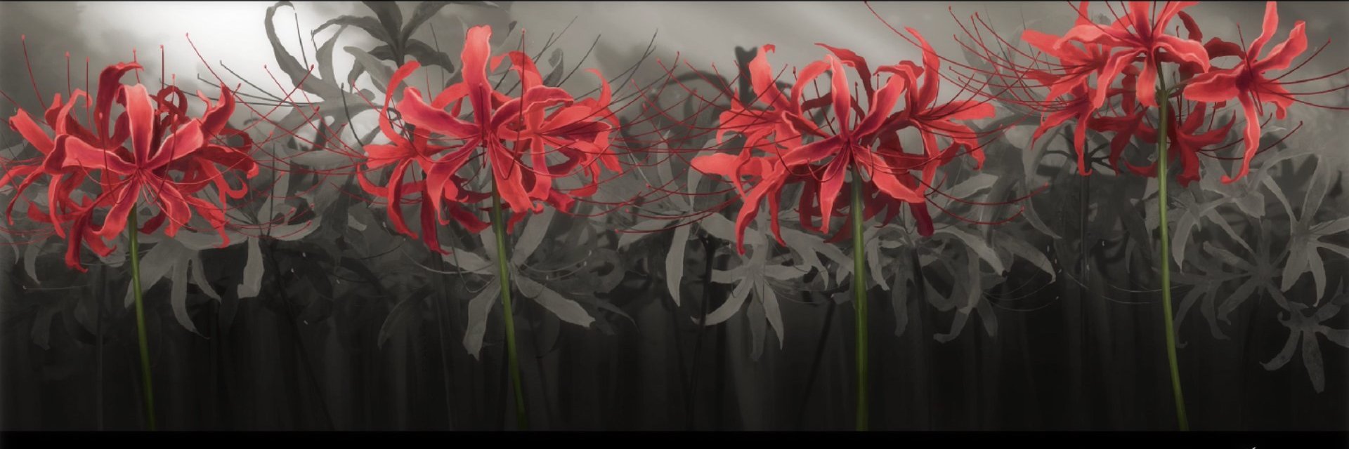 NamelessFreaky's profile banner image