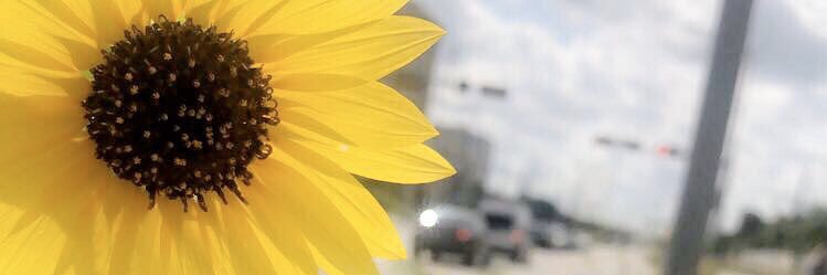 Devan__Rodgers's profile banner image