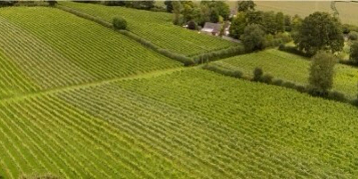 englishoakwine's profile banner image