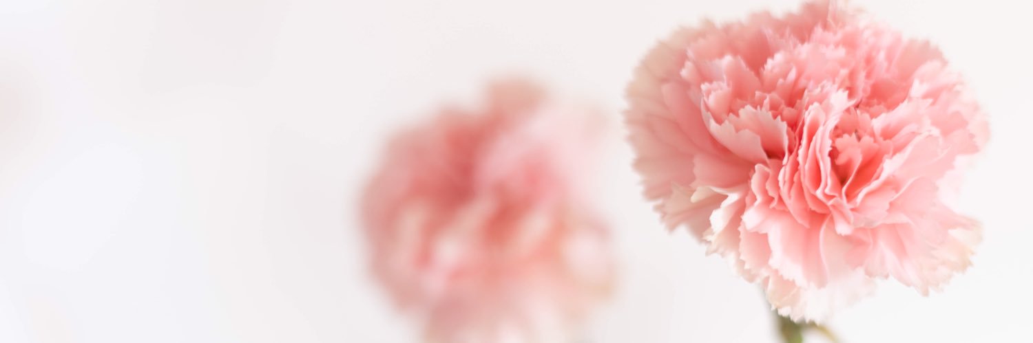 conchin__'s profile banner image