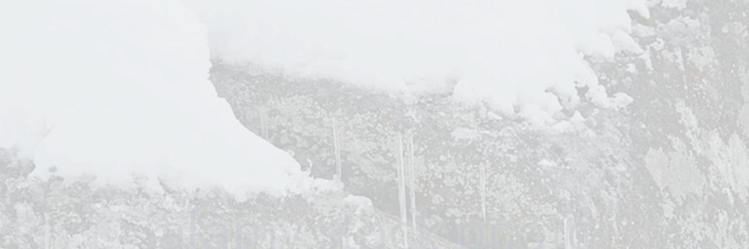 MountecCorp's profile banner image