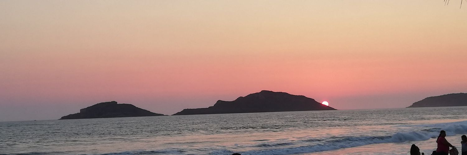 Mar__Flowers's profile banner image