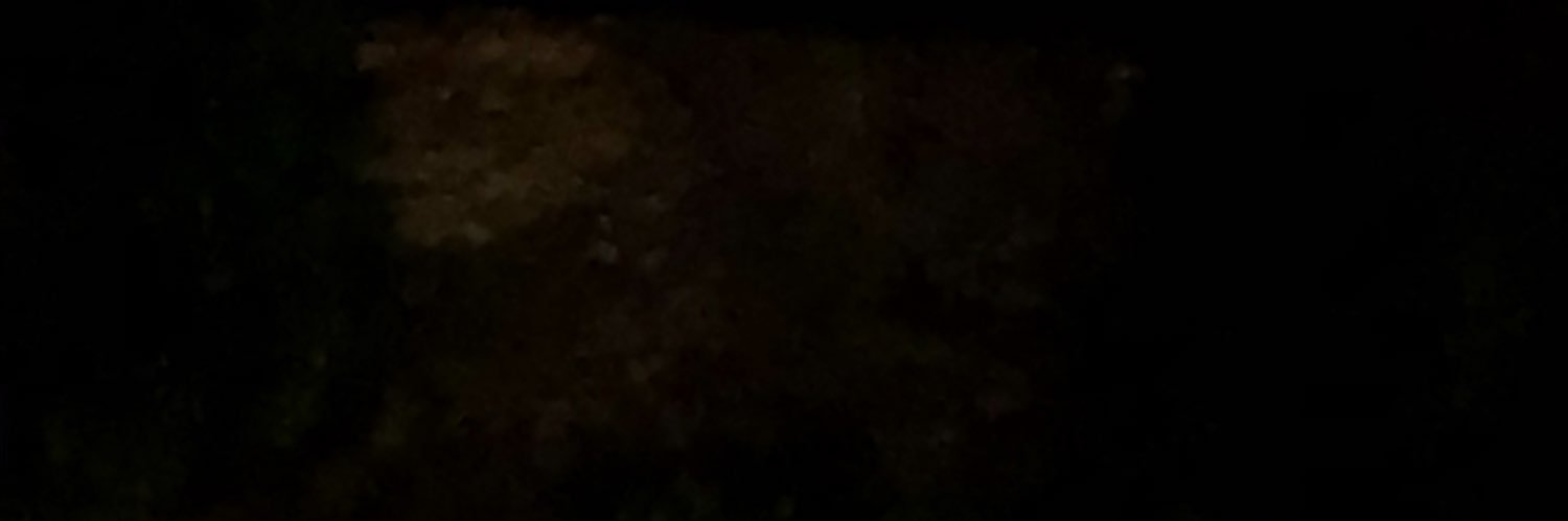 movico banner