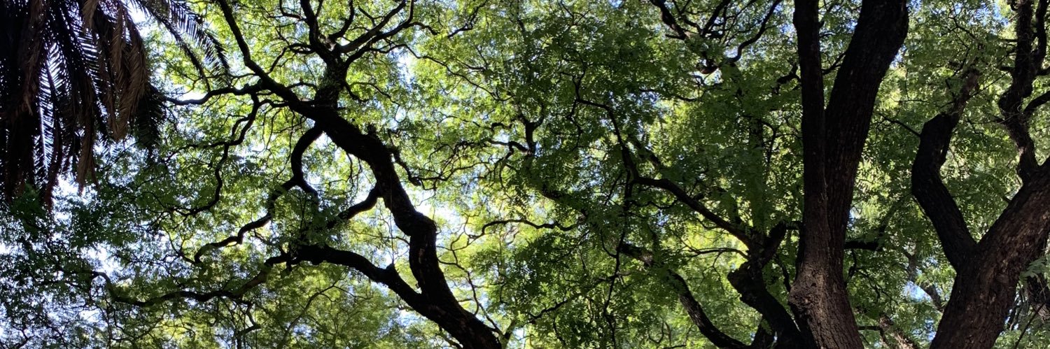 caucapiberibe's profile banner image