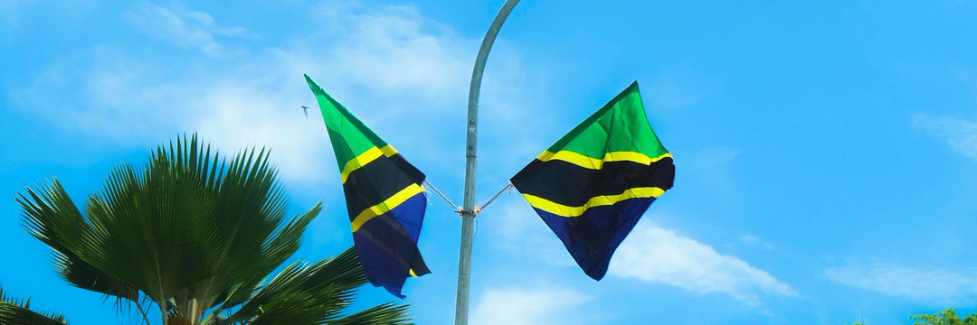 Ahmad Issa Michuzi banner