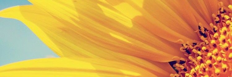 MayTMoolina's profile banner image