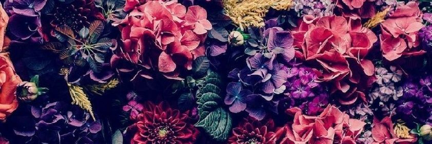 ValentinaTarde's profile banner image