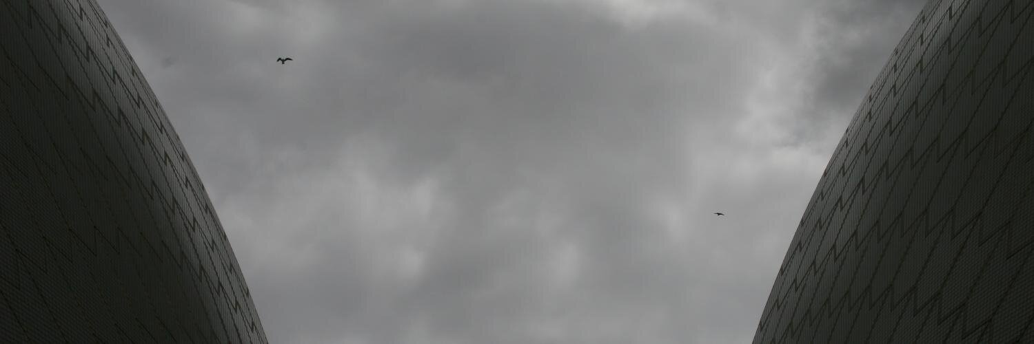 Nir Sagiv (LinkTree) profile banner