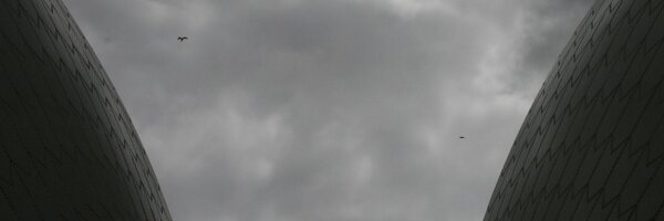 LinkTree Profile Banner