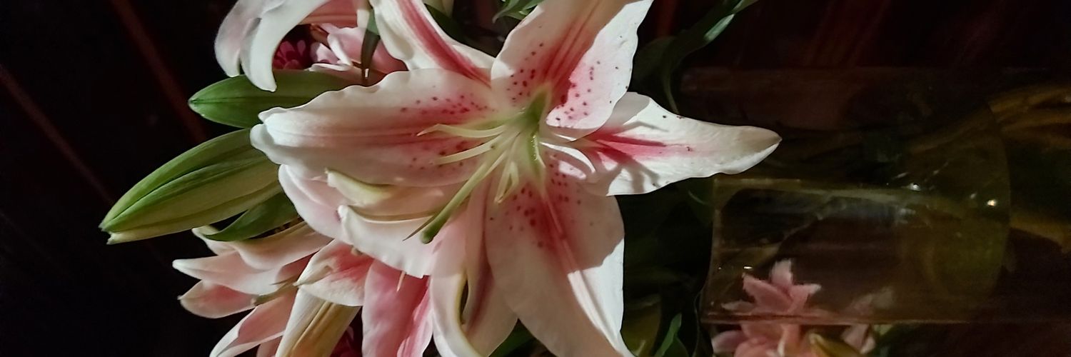 MLalitha108's profile banner image