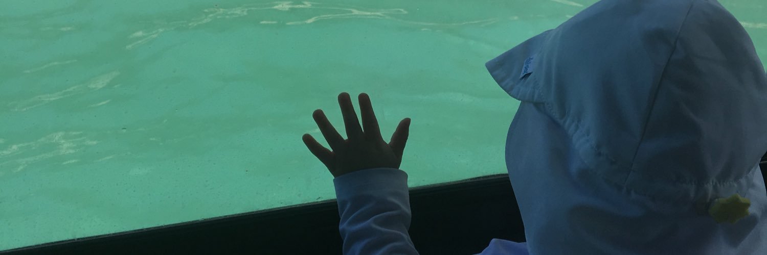 Dina Buchbinder banner