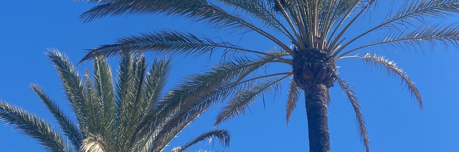 rchlbritton's profile banner image