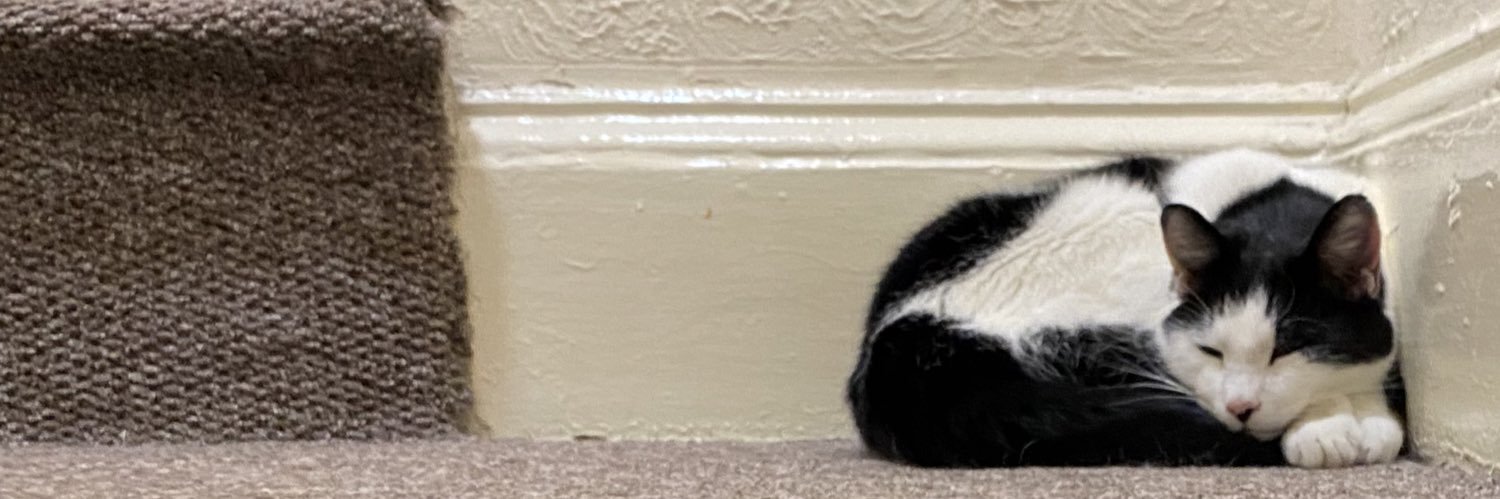 𝔪𝔬𝔩𝔩𝔶 🥀 banner