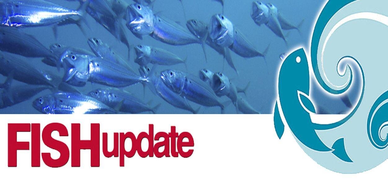 FISHupdate banner